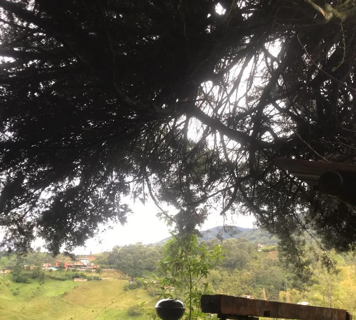 Medellin Antioquia Eco Hostel Montanita Tours & Desayuno Paisa Incluido Itagui