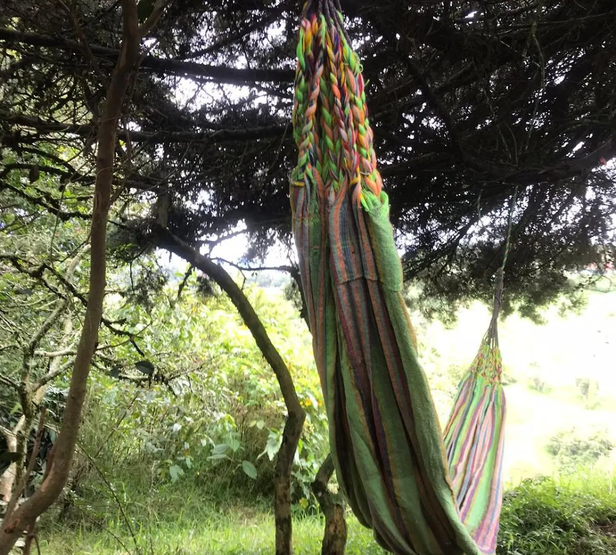 Medellin Antioquia Eco Hostel Montanita Tours & Desayuno Paisa Incluido Itagui