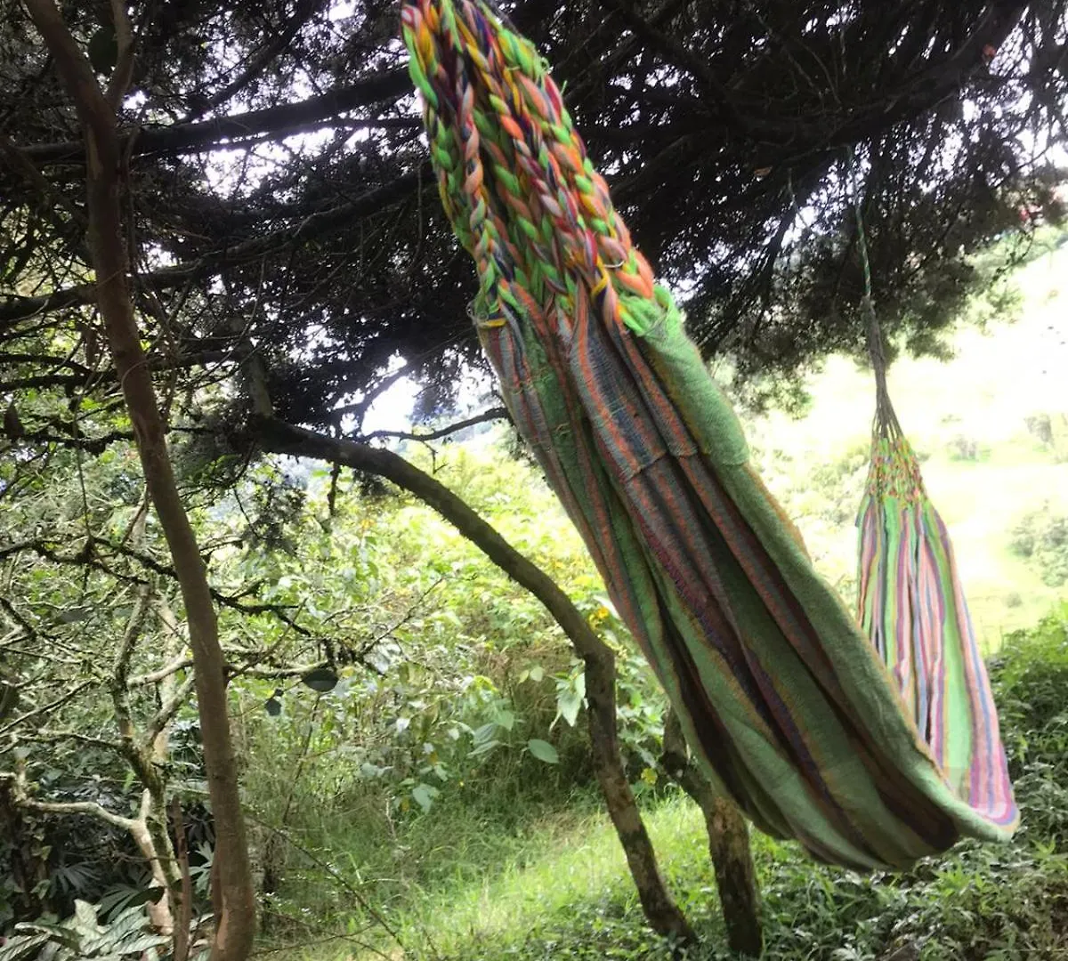 Medellin Antioquia Eco Hostel Montanita Tours & Desayuno Paisa Incluido Itagui Colombia