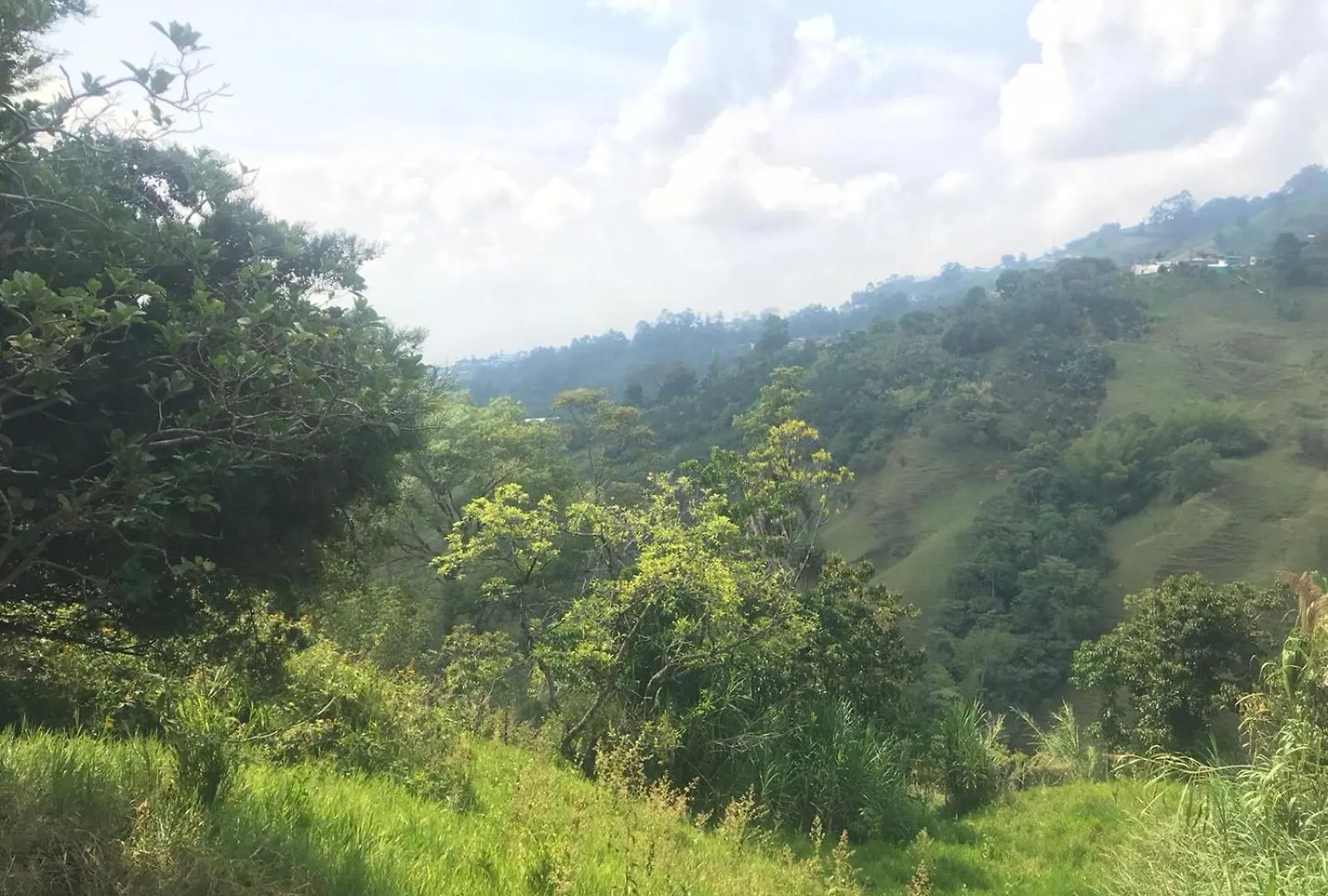 Medellin Antioquia Eco Hostel Montanita Tours & Desayuno Paisa Incluido Itagui