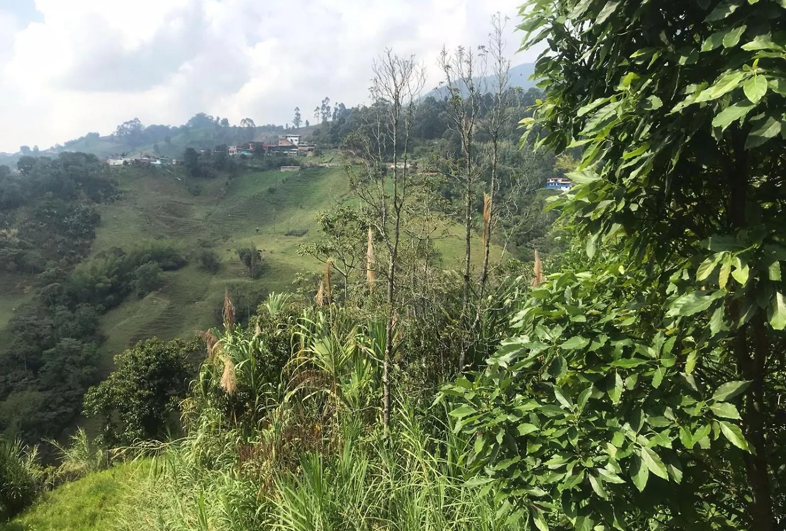 Medellin Antioquia Eco Hostel Montanita Tours & Desayuno Paisa Incluido Itagui Colombia